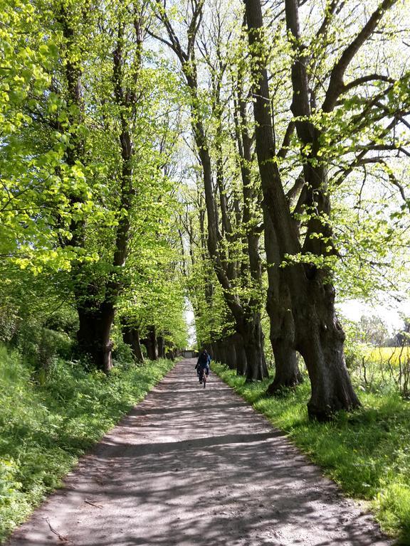 Ferienwohnungen Rügen Findling Breege Exterior foto