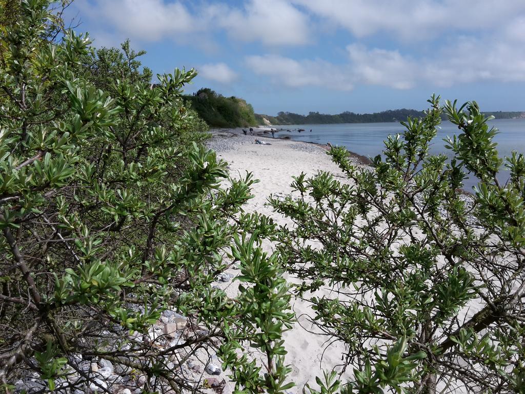 Ferienwohnungen Rügen Findling Breege Exterior foto