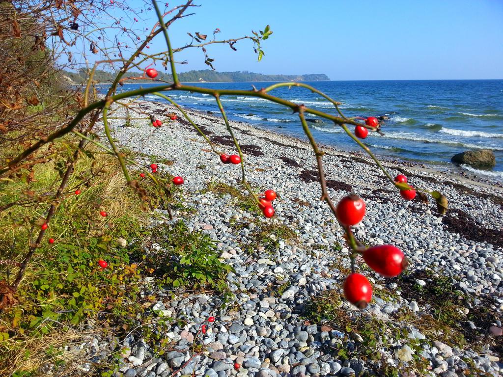 Ferienwohnungen Rügen Findling Breege Exterior foto